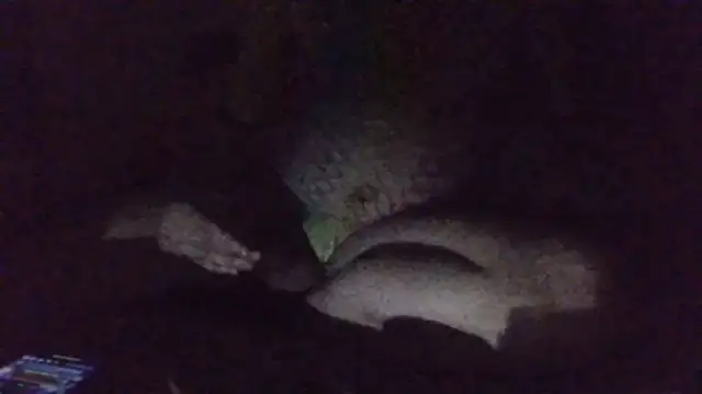 nymphoer1982 라이브 XXX 채팅