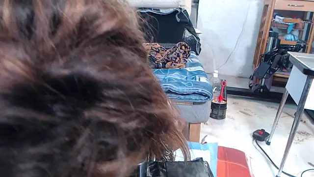 Jennytop's Live XXX Chat