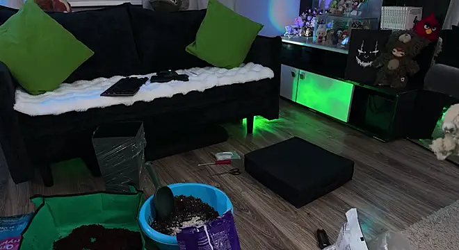 KiraLiLime – Live XXX-chat