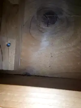 NoFace_Twink_X Webcam show