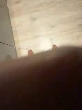 Trhge253's Webcam Show