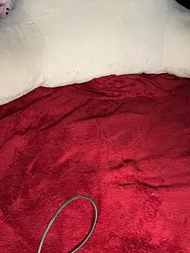 PassionatePlaythrough: онлайн-секс-чат