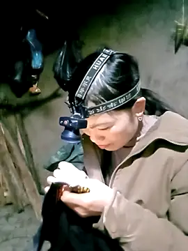 ngan-cute Obrolan Langsung XXX