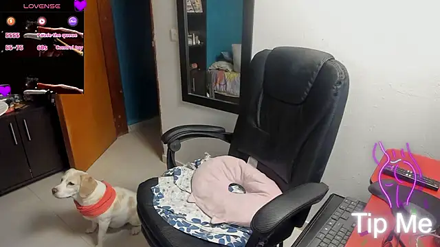 Chatroom XXX en direct de peanut_tangerine