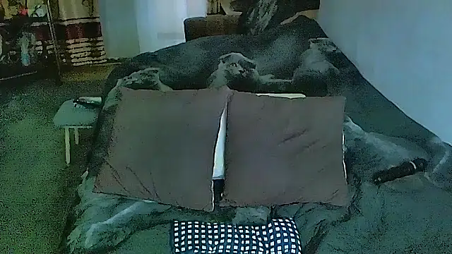 Chatroom XXX en direct de sex2