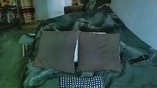 sex2 라이브 XXX 채팅