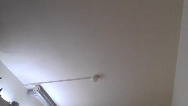 THE_CHEEKY_ALPHAのライブXXXチャット