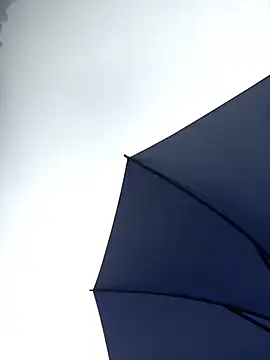 sun-shii 在線直播表演