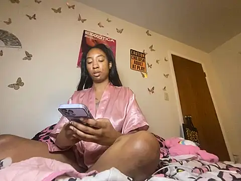 Show webcam de LeBimbo