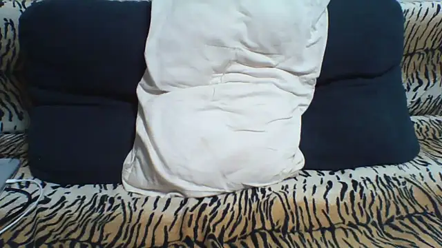 Show webcam de KaelNox