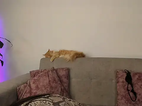 abbey_all Chat XXX in diretta