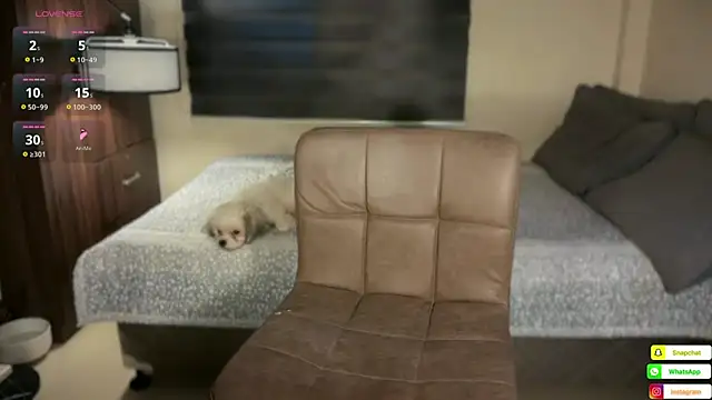 bella_maxwel 在線直播表演