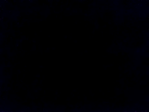 blackninja66 Webcam Show