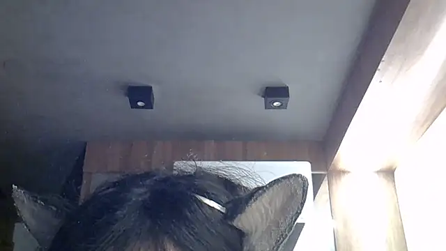 SkinnyKitten élő XXX-chatje