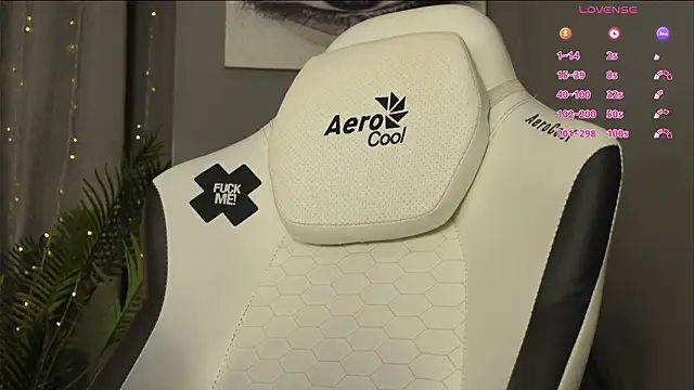 Show Webcam de Megany