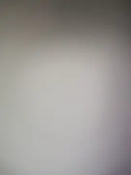 Chat XXX Live TheDime