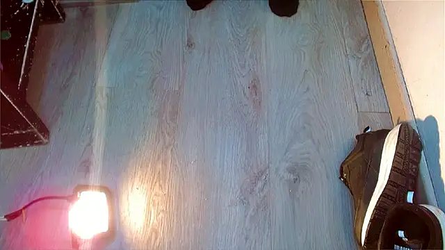 عرض كام DaviidBuckx_