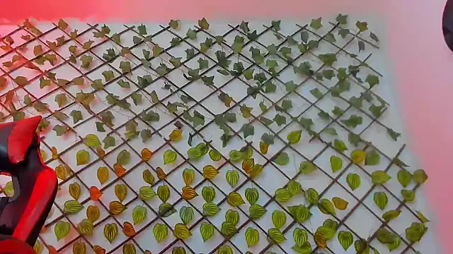 ALPHA_DOMINUS_のウェブカメラショー