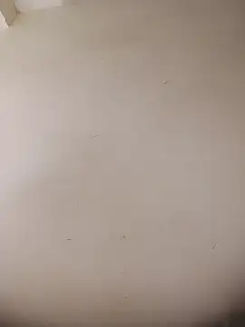 XxX_KING30 网络视讯表演