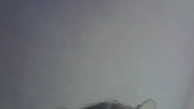 Chatroom XXX en direct de SkinnyKitten