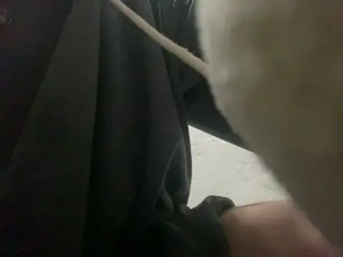 Chatroom XXX en direct de kirito_kun