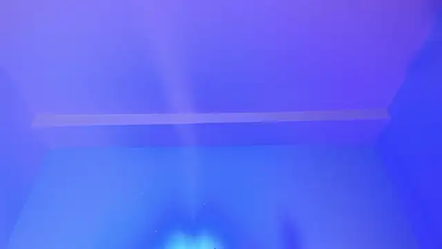 littless_angeln Live XXX chat