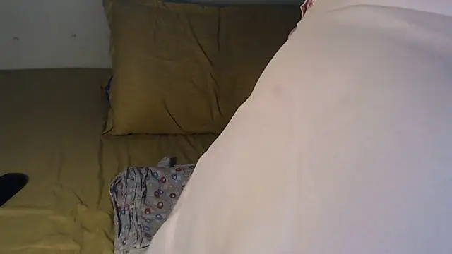 sahansaのウェブカメラショー