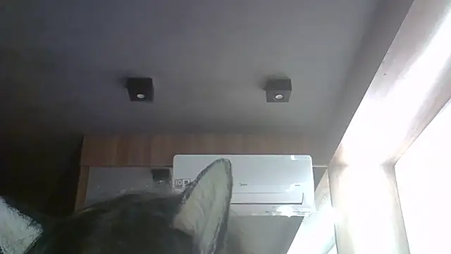 Show de SkinnyKitten na webcam