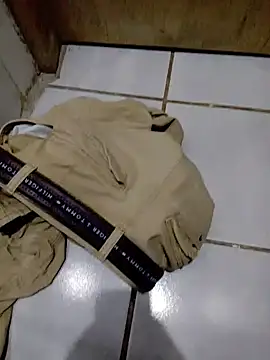 Haplis Pertunjukan Webcam