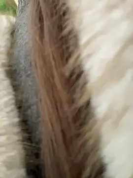 Charming_Ritta's Live XXX Chat