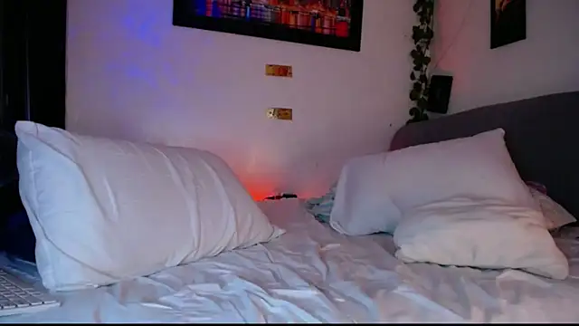 Show de tiancam na webcam