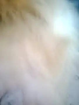 mcjbgfhgjhiiilllufjyf's Live XXX Chat