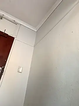 AcetousAbb 现场XXX聊天