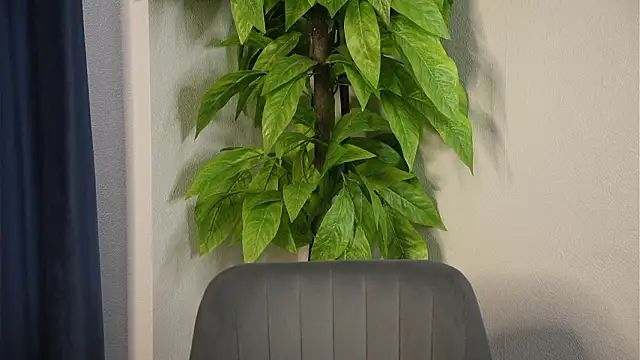 AkikoJost's Webcam Show