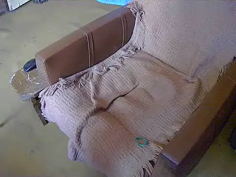 Show de Barry-Kent na webcam