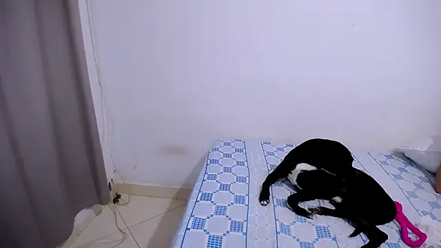 Chat +18 de Hanny_9 ao vivo