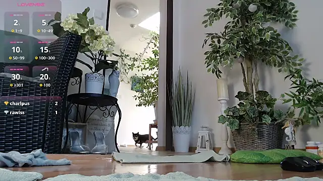 Squirtmania's Webcam Show