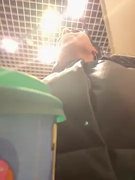 CrazzyChicks Obrolan Langsung XXX