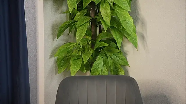 AkikoJost: вебкам-шоу