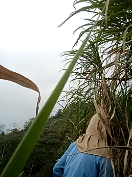 nangmo 网络视讯表演