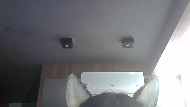 Show de webcam de SkinnyKitten