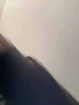 Michel_huge Adlı Modelin Canlı XXX Sohbeti