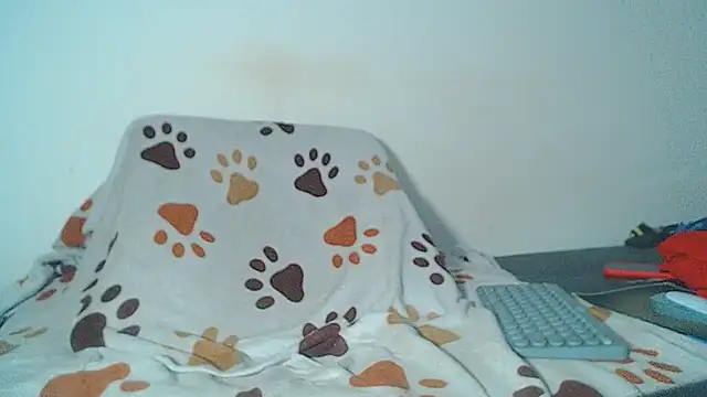 Chat XXX Live maihton_xx