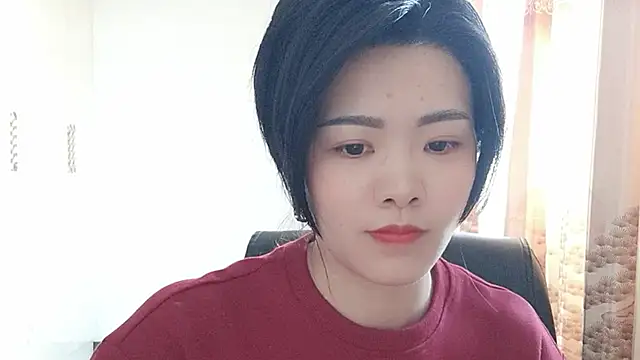 Nikishineのウェブカメラショー