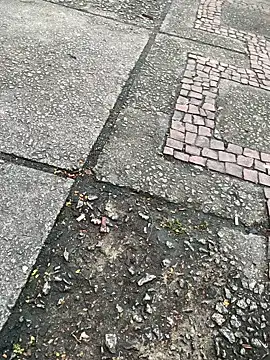 EnvolventeX – Kamerová šou