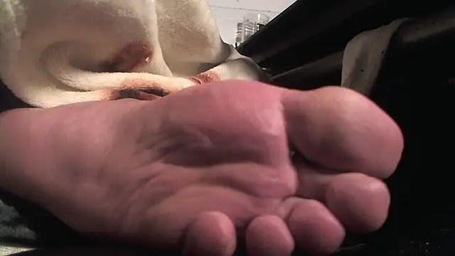 Pokazy przed kamerką – Anarchy_Burger