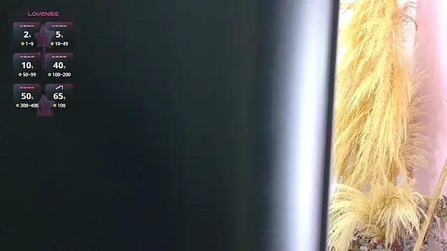 Webkamerová show bonieklent