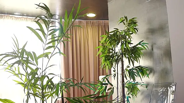 Chat XXX en directo de HotBustyBabeX