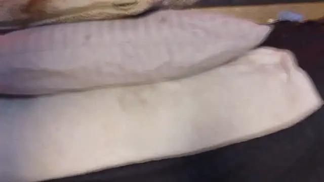 YayaHilton live XXX chat