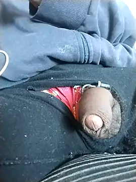 Show Webcam de negosaliente